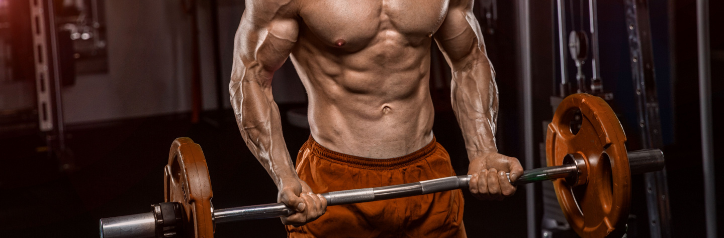 Guide til din biceps træning - biceps - bicepscurl Guide til din biceps træning - biceps - bicepscurl